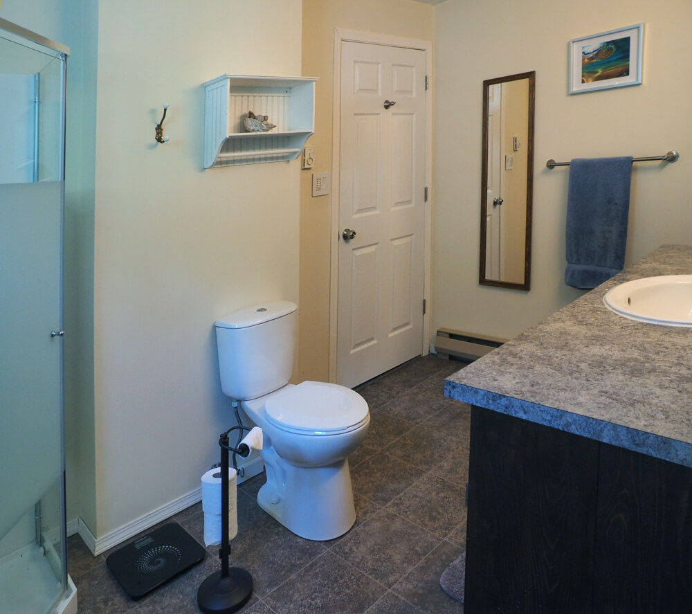 Downstairs Toilet and Utility Room Design 