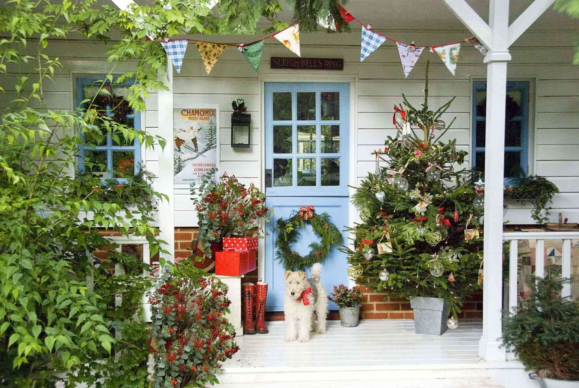 Decorate Backyard for Christmas