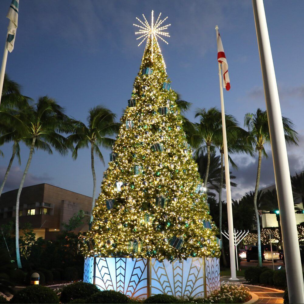 Decorate Backyard for Christmas