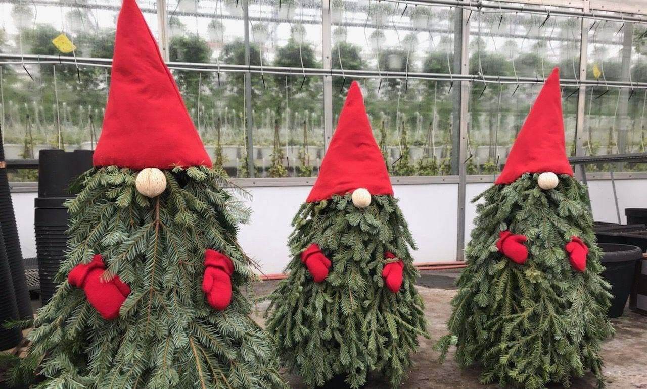 Outdoor Decoration Ideas for Christmas