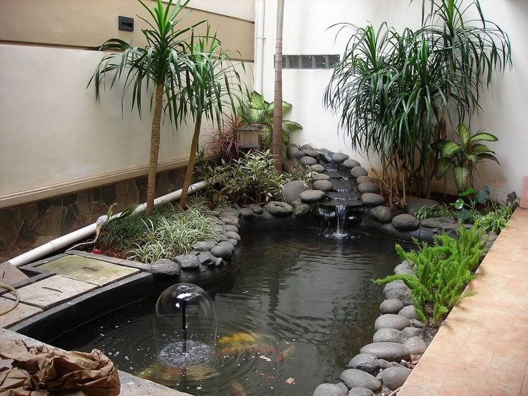 Indoor Ponds