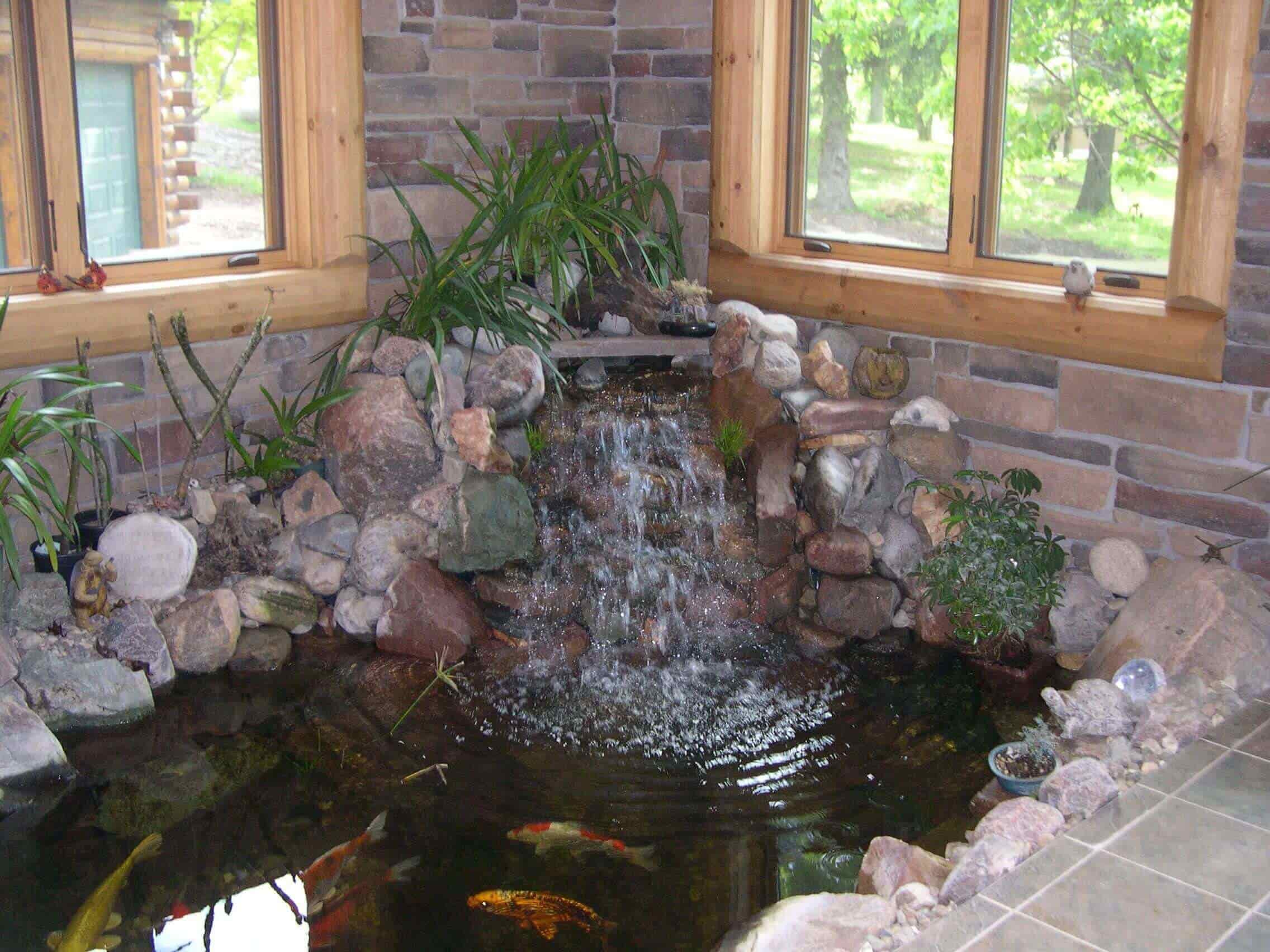 Indoor Ponds