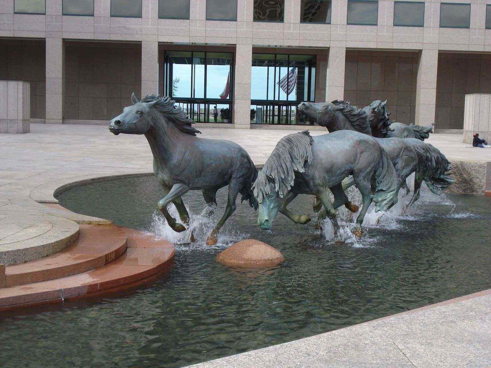 Mustangs By Robert Glen