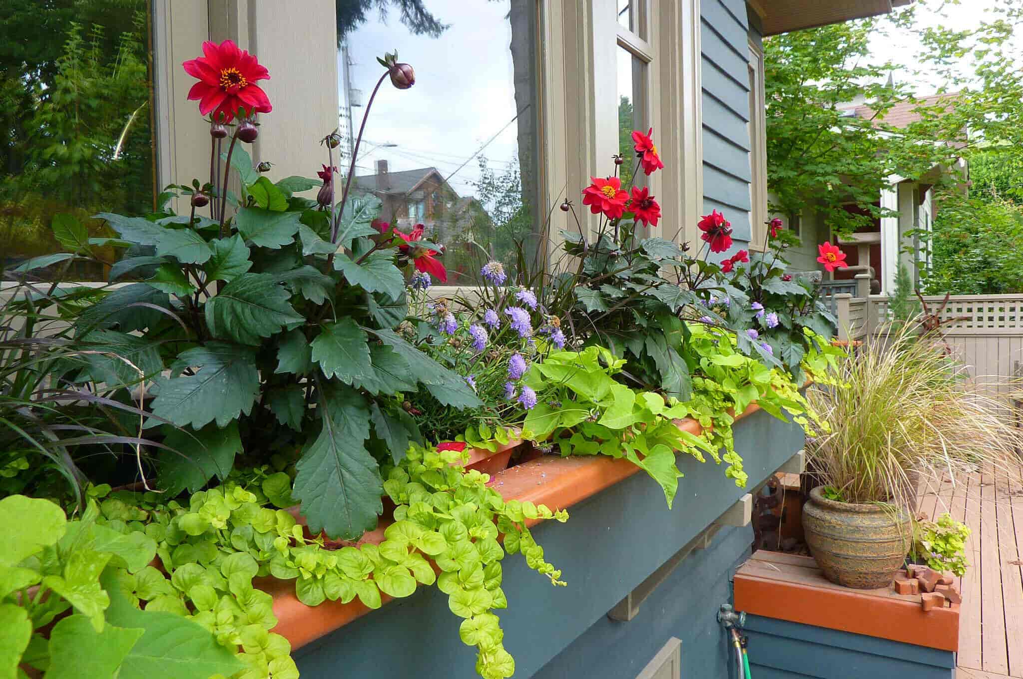 Window Sill