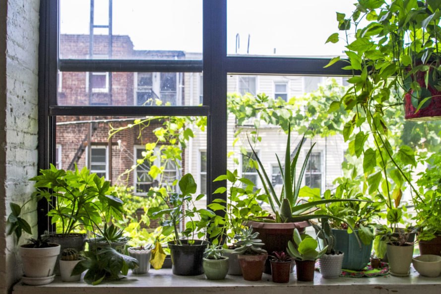 Window Sill