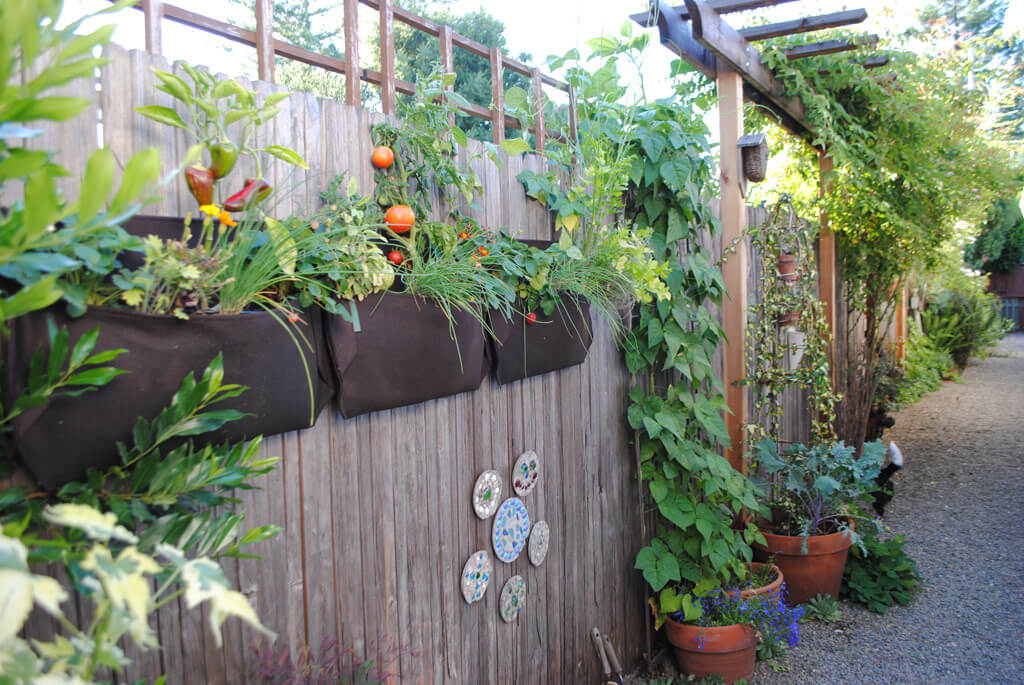 backyard fence decor 