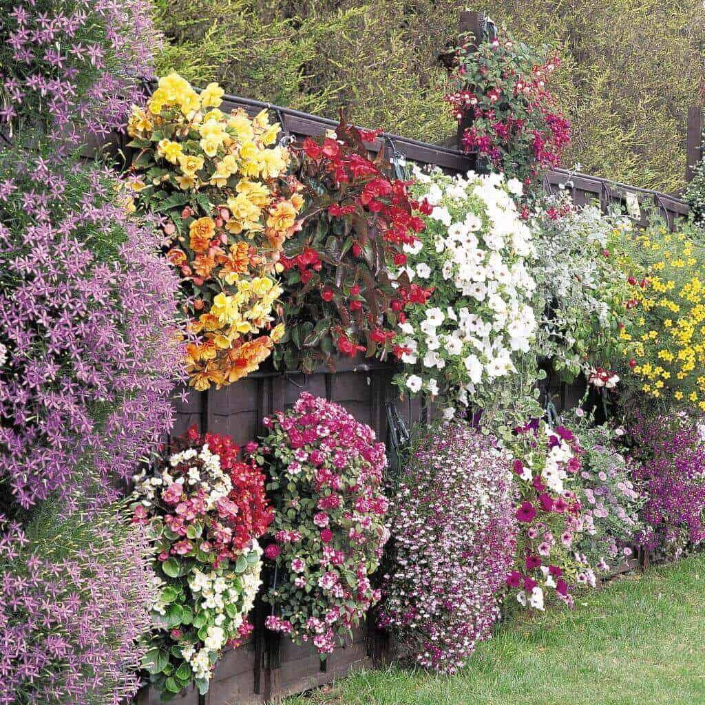 backyard fence decor 