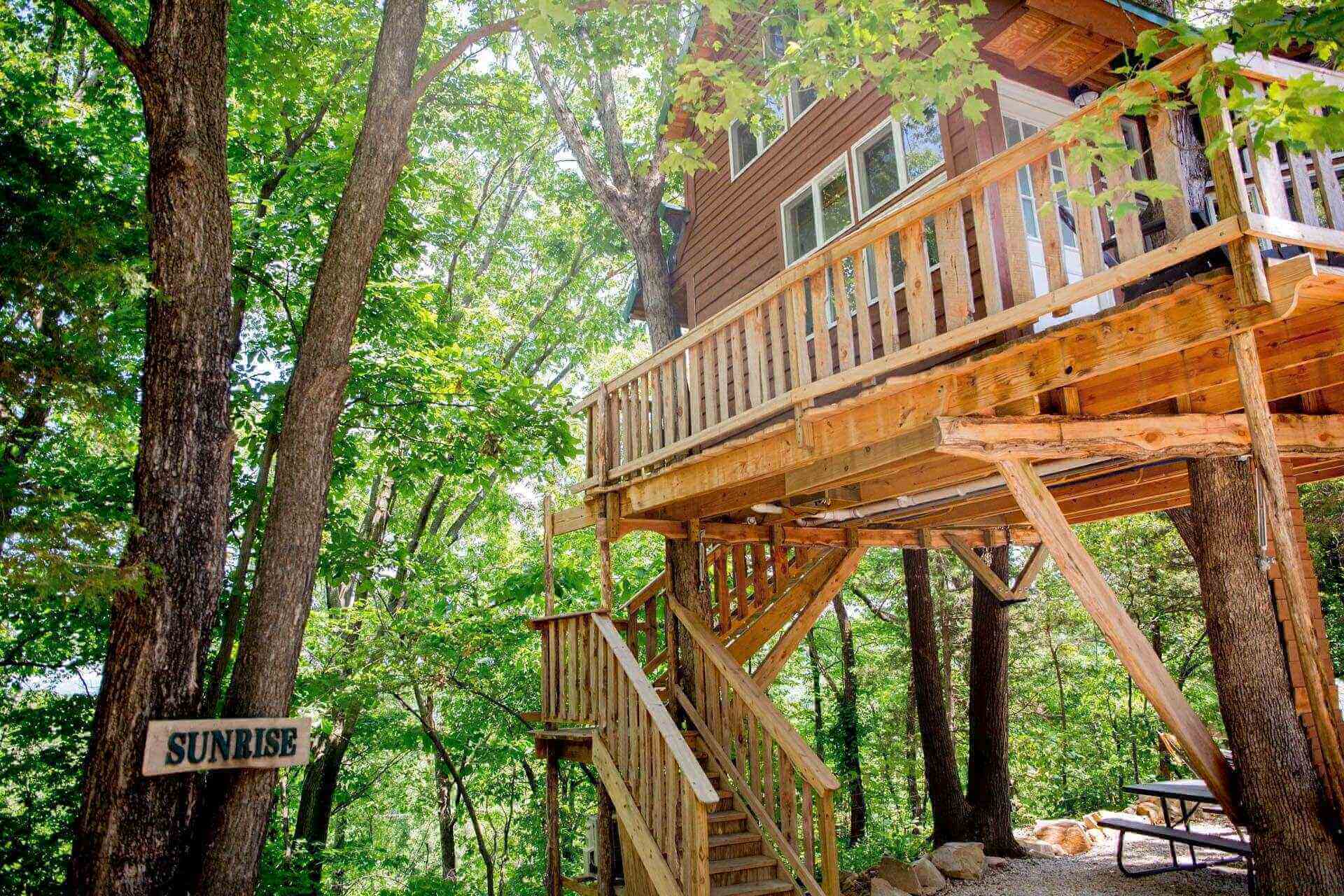 Tree House Design Ideas