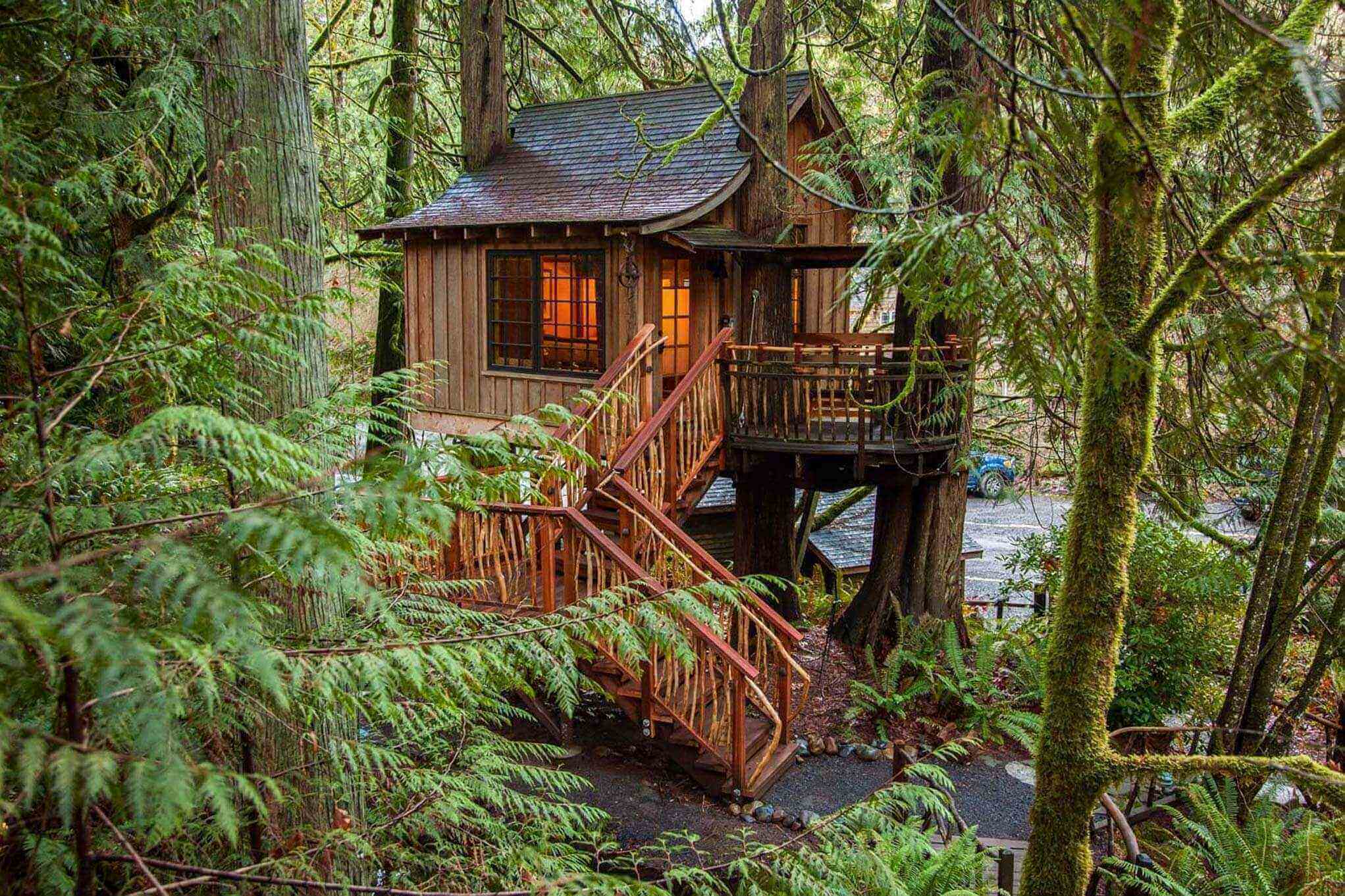 Tree House Design Ideas