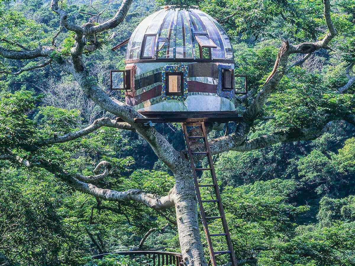 Tree House Design Ideas