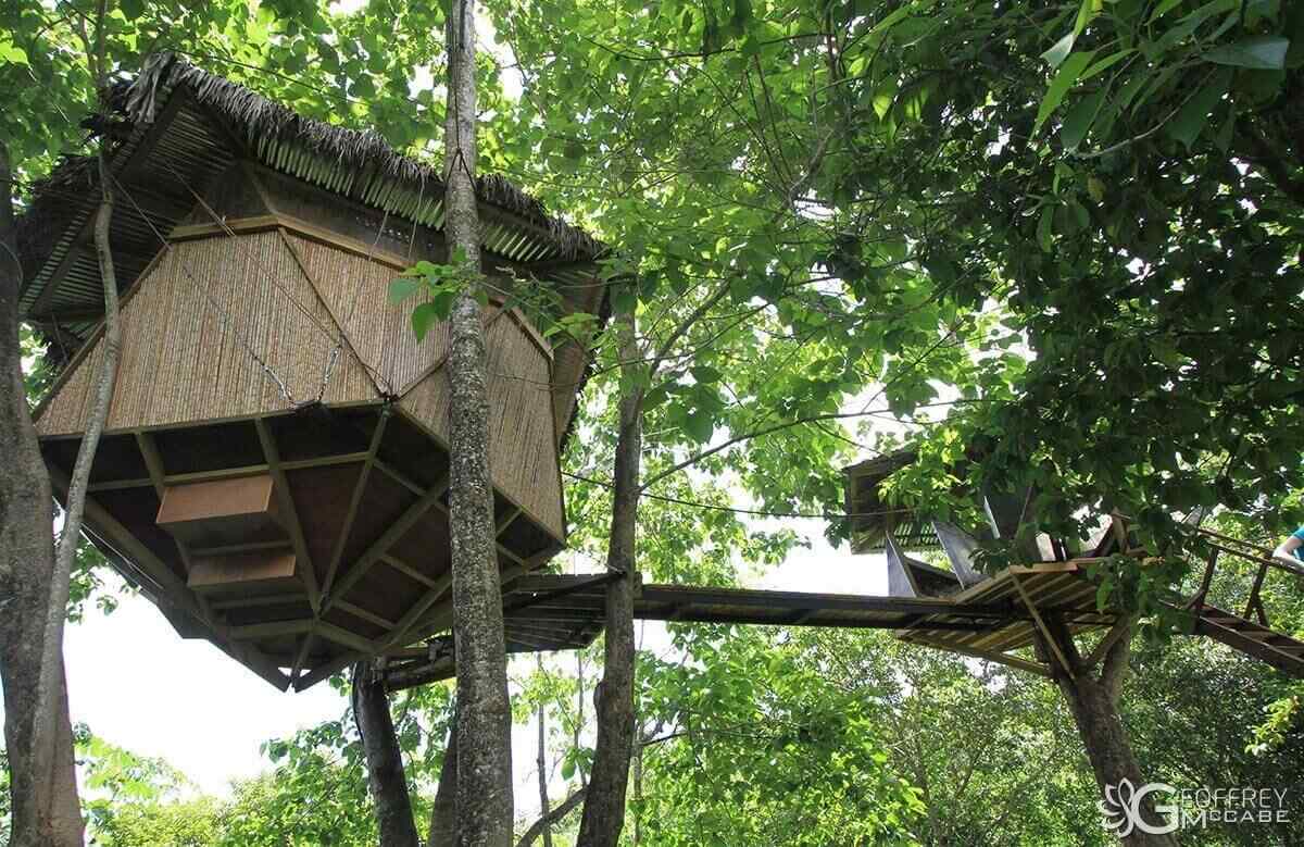 Tree House Design Ideas