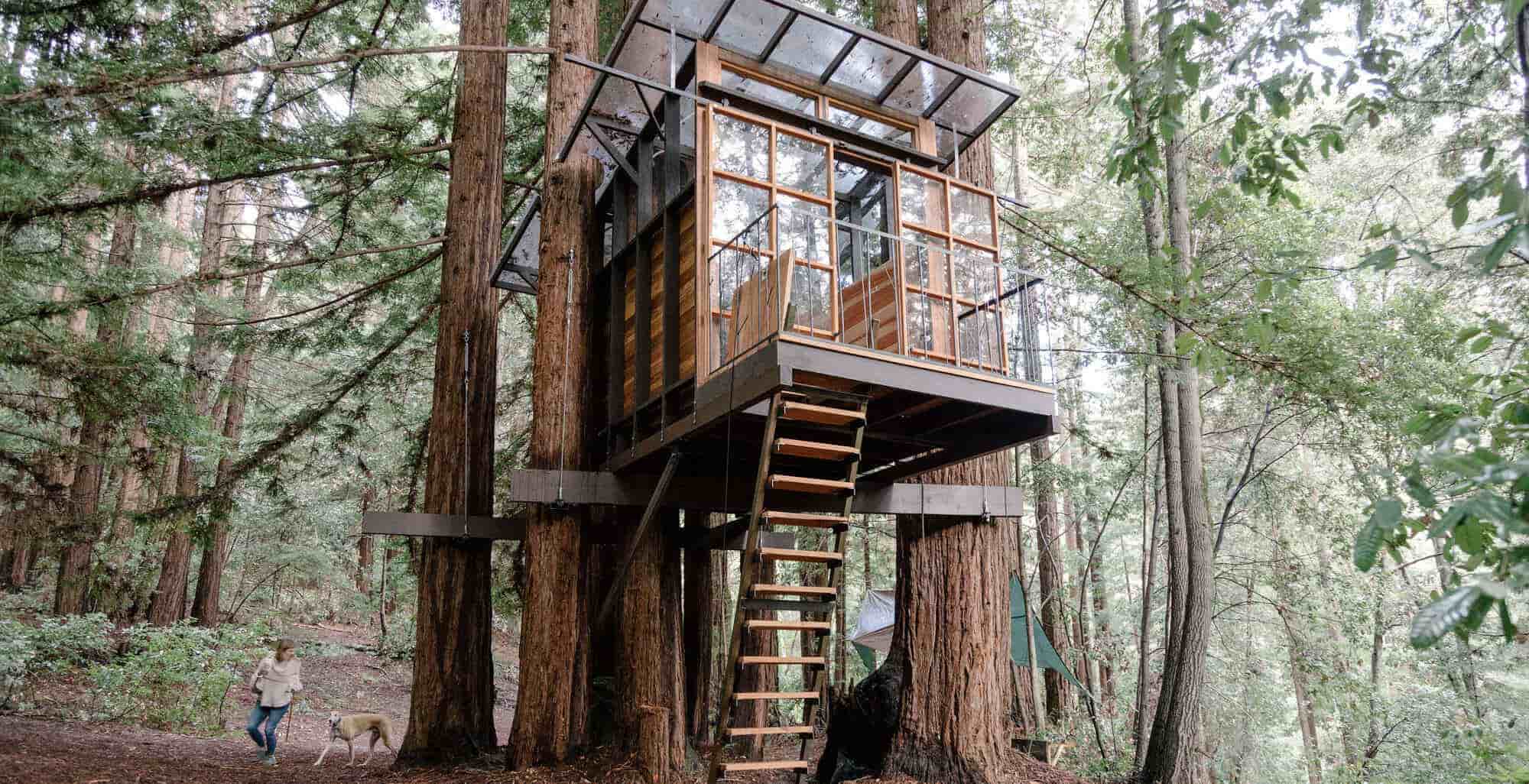 Tree House Design Ideas