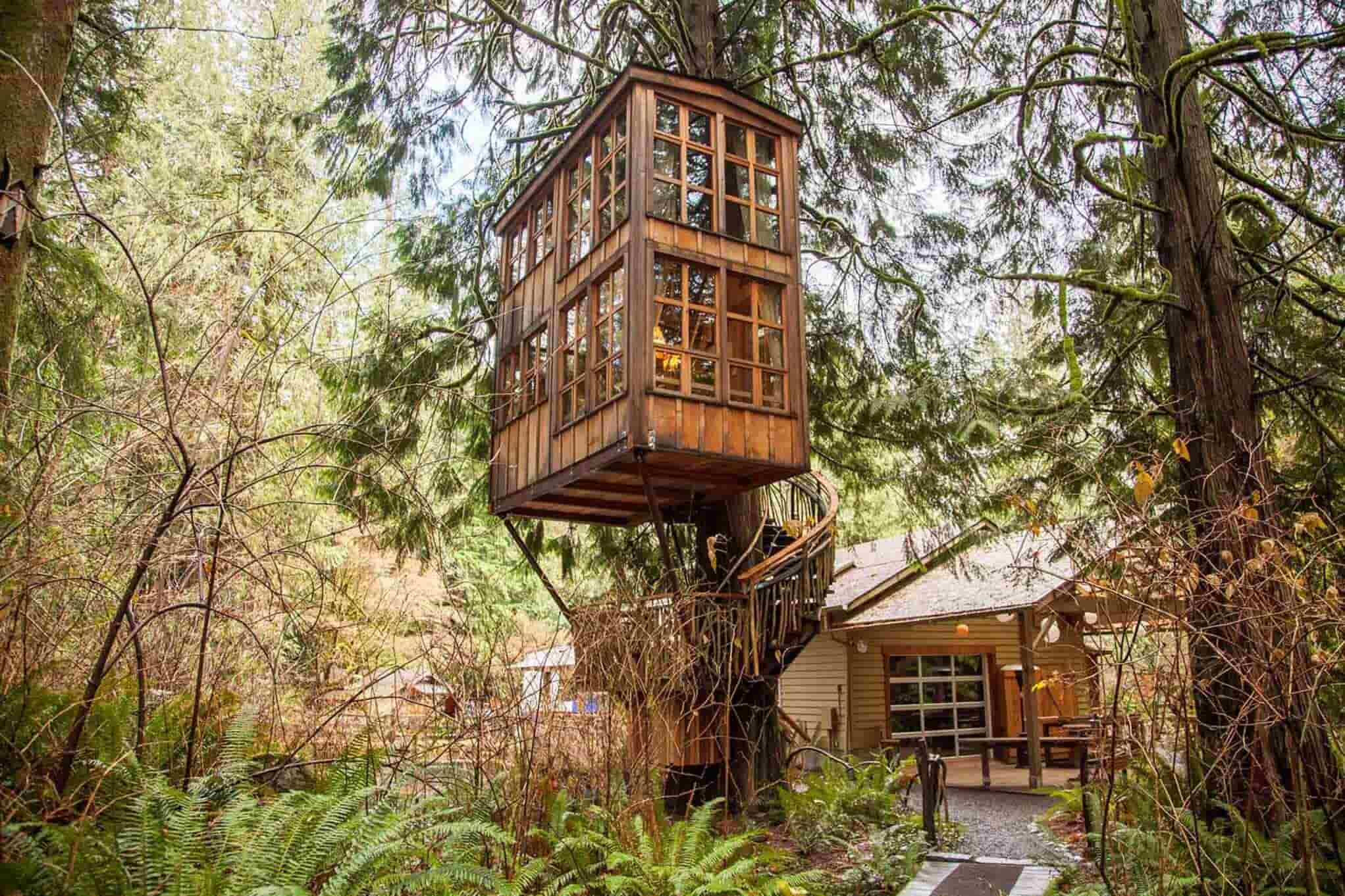 Tree House Design Ideas