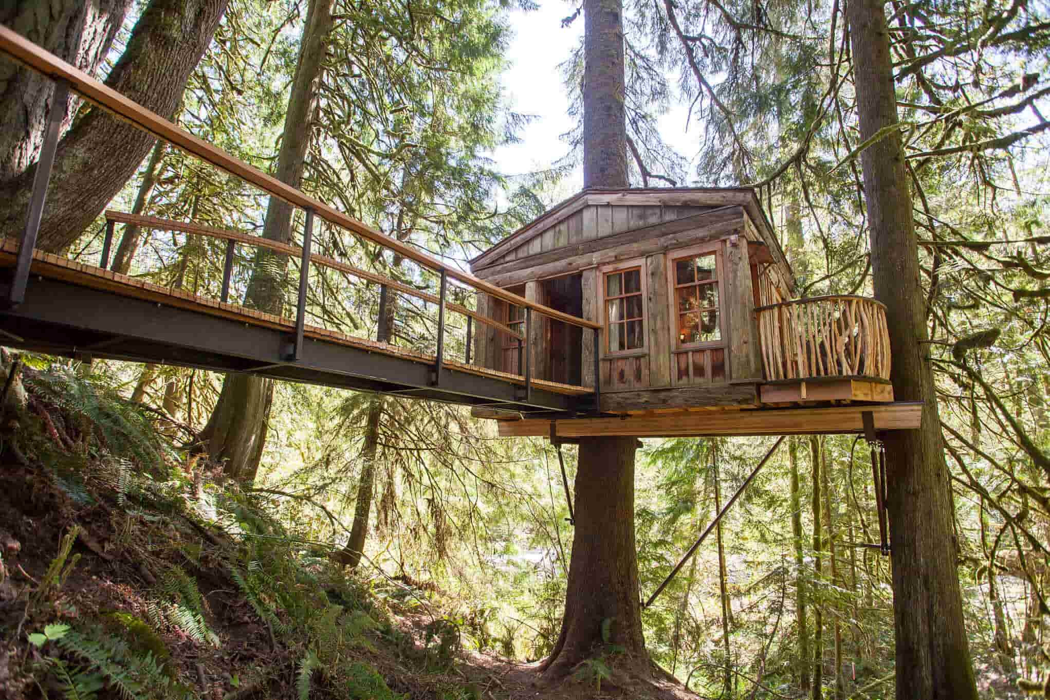 Tree House Design Ideas That Will Make You Feel Amazing