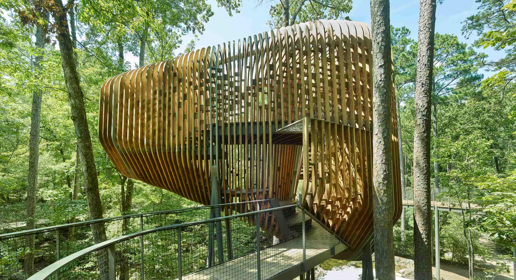 Tree House Design Ideas