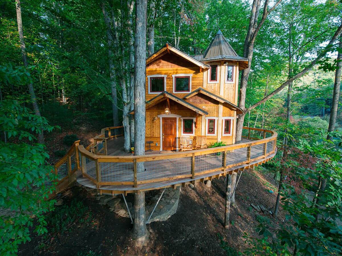 Tree House Design Ideas