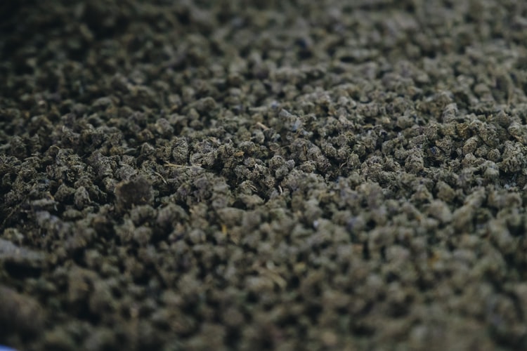 Carpet_pollution