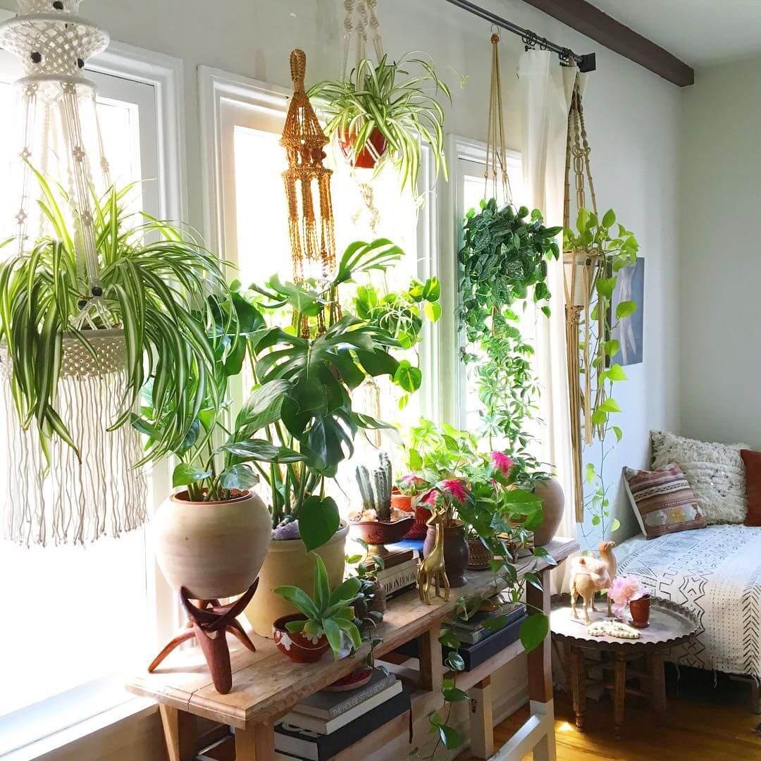 Unique and Creative Hanging Plant Decoration for Home - The ...