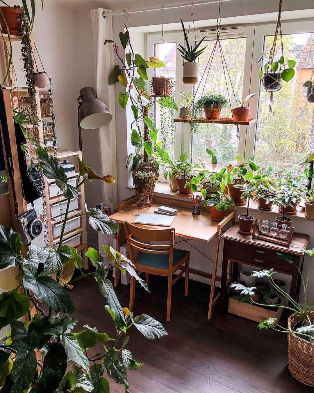 Hanging Plant 15 