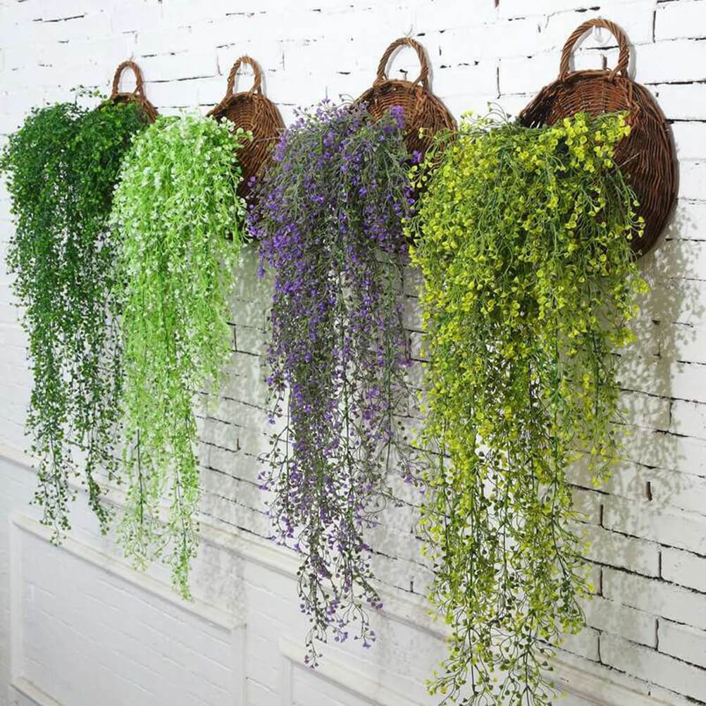 hanging plant 