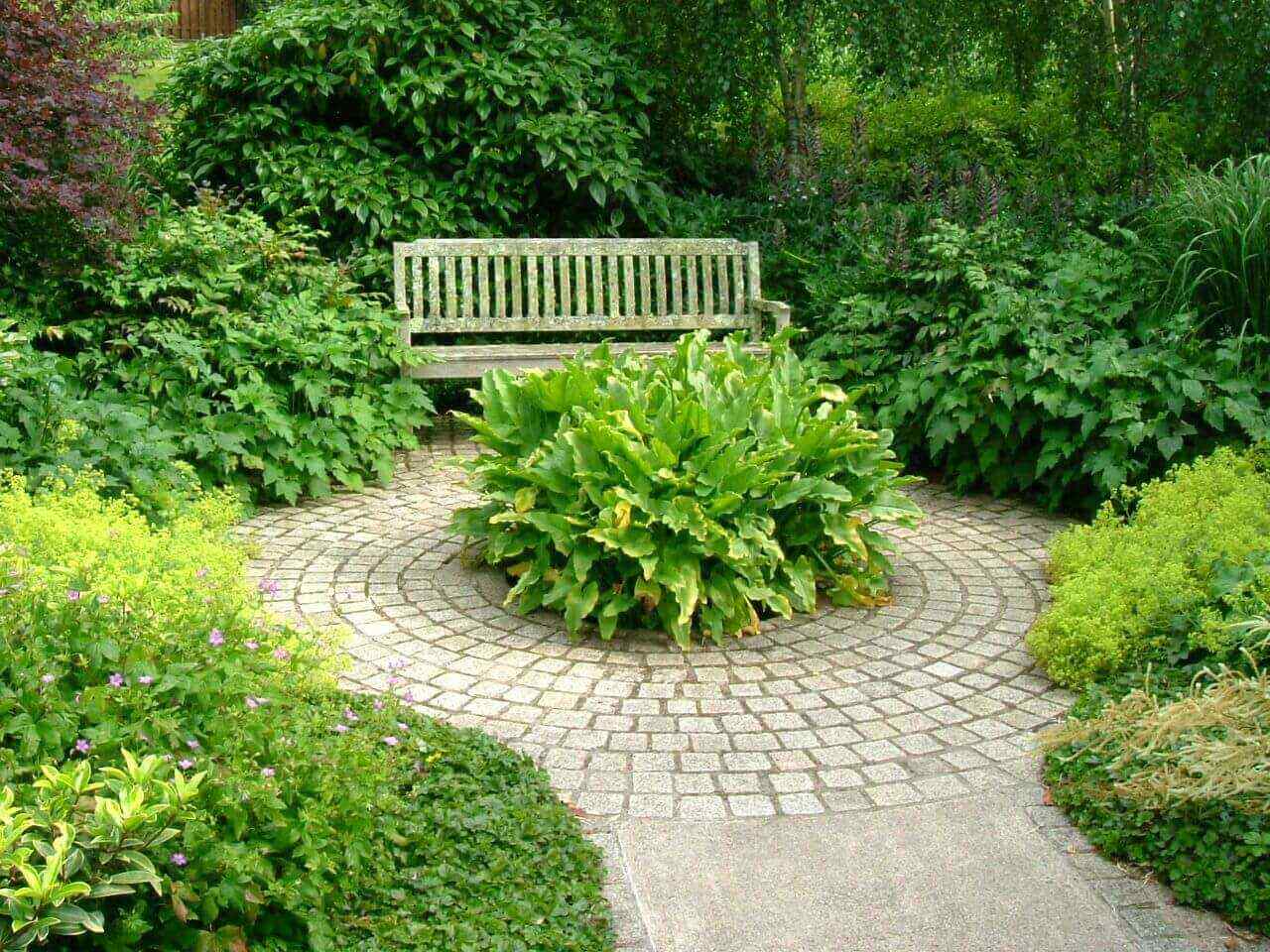 Inspiring and Well Organized Backyard Shade Garden