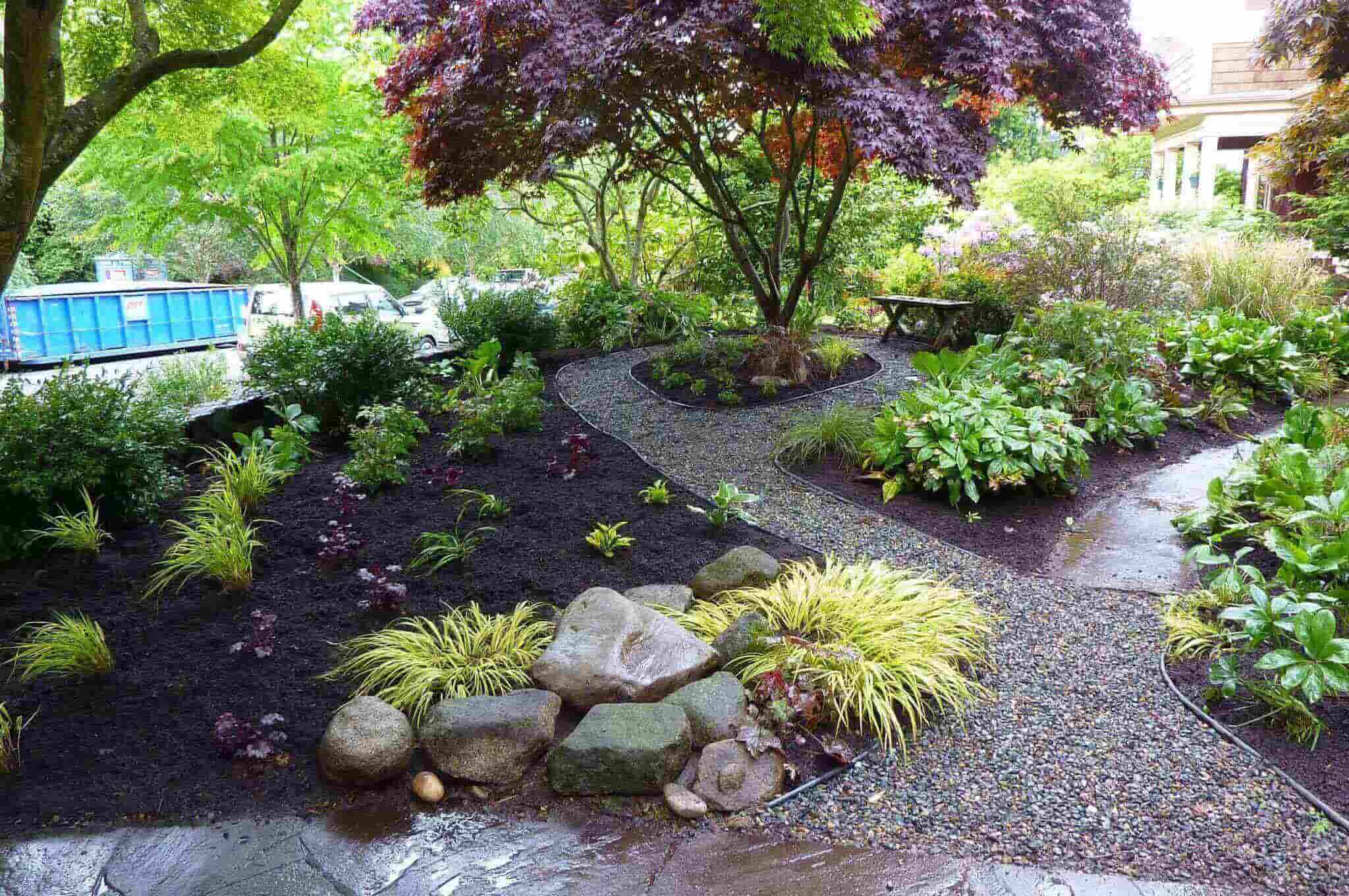 Inspiring and Well Organized Backyard Shade Garden