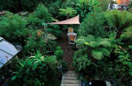 Shade Garden Ideas Archives The Architecture Designs