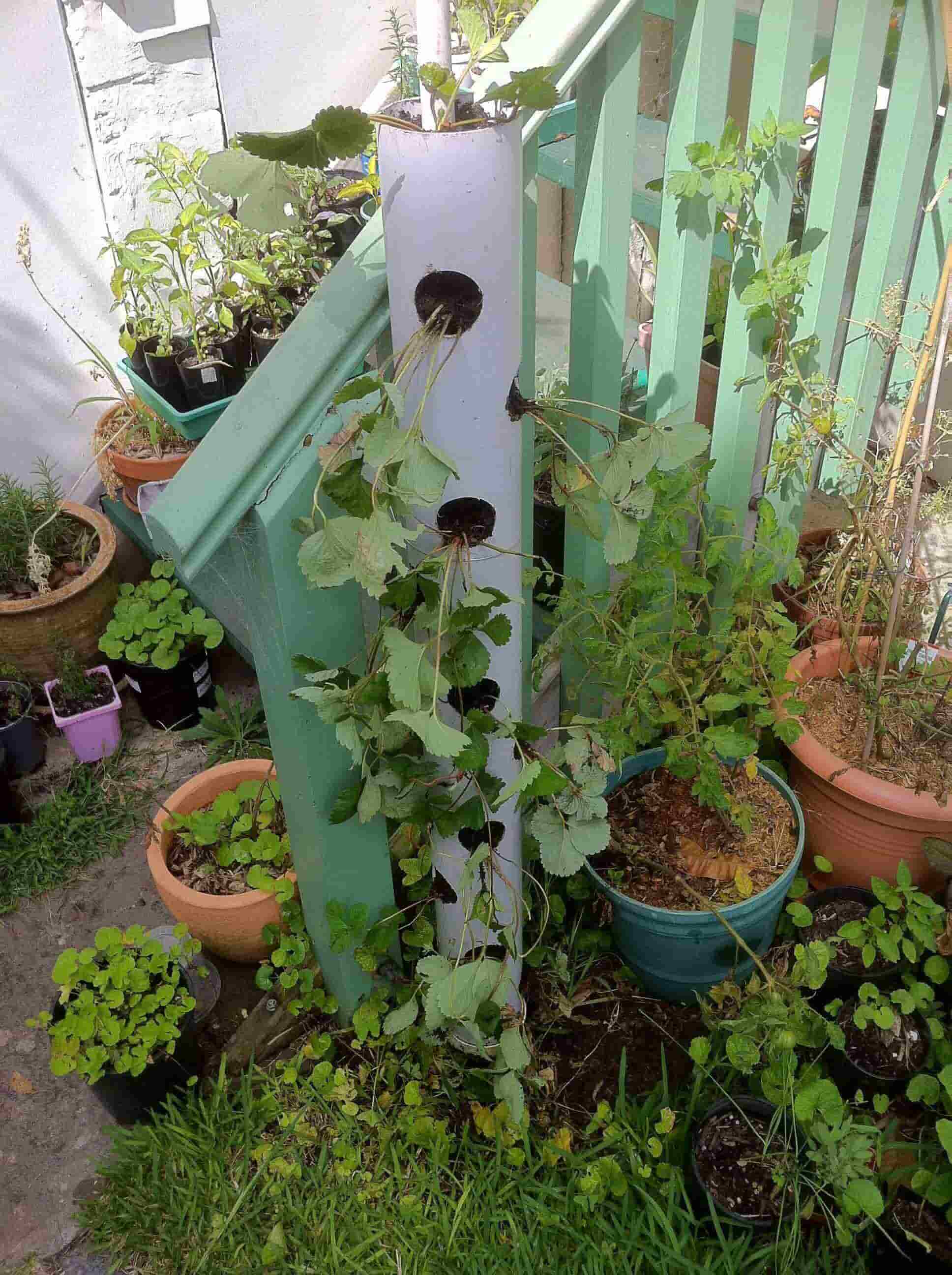 DIY PVC Pipe Planters for Decorating Your Garden