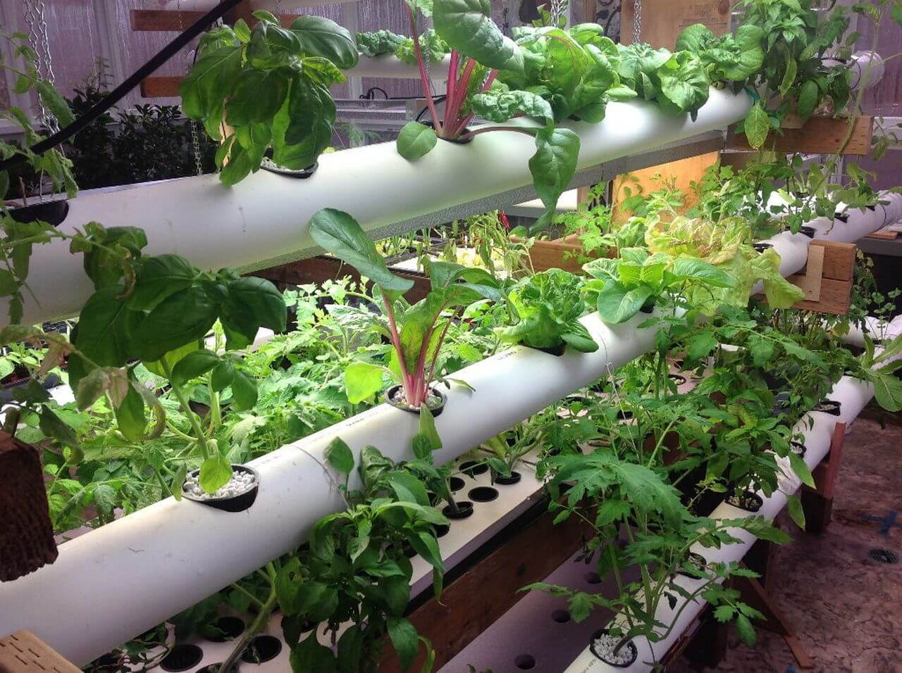 PVC Pipe Planter 