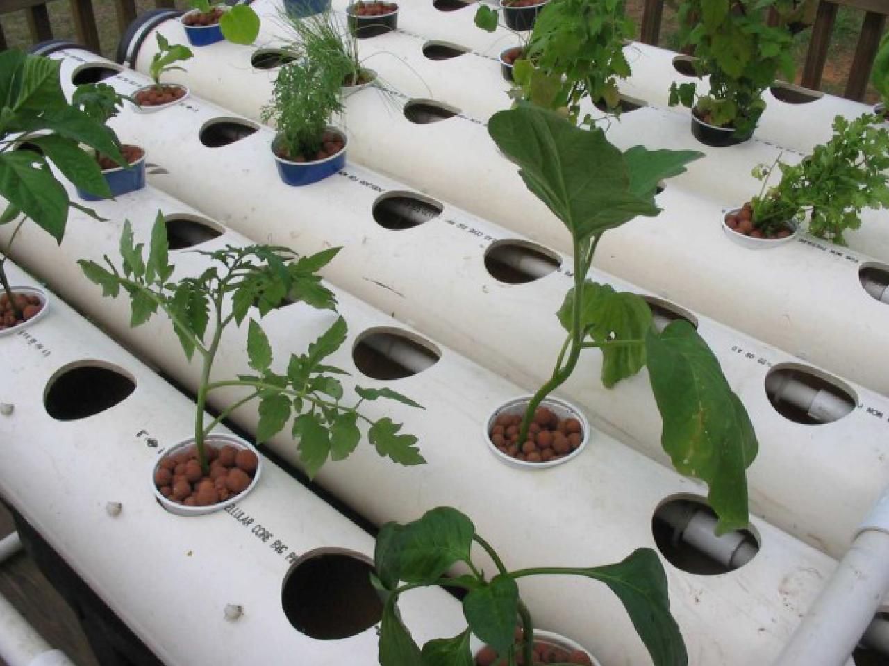 PVC Pipe Planter 