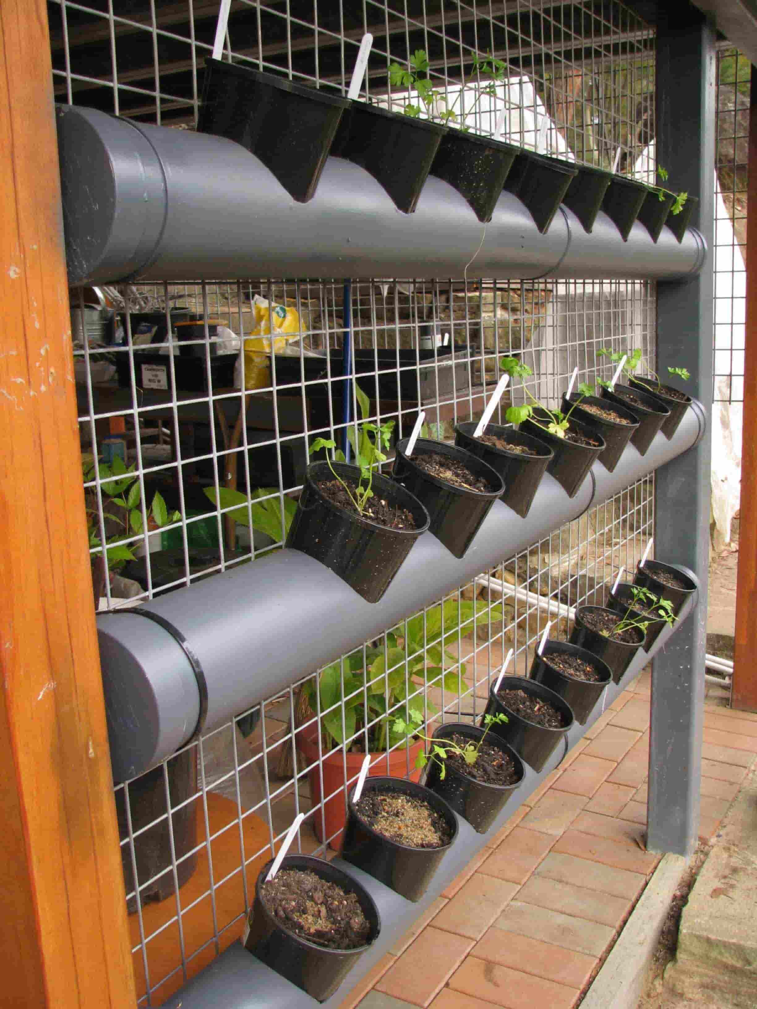 DIY PVC Pipe Planters for Decorating Your Garden