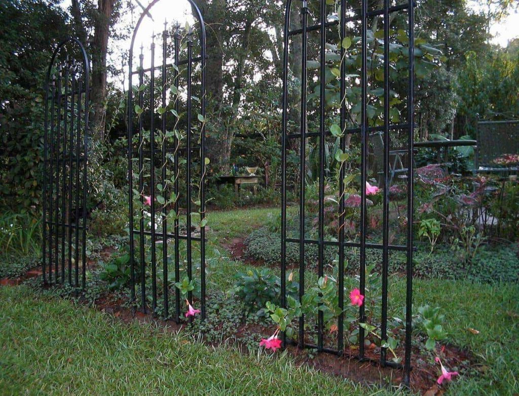 Garden Trellis Ideas to Make Your Garden More Beautiful
