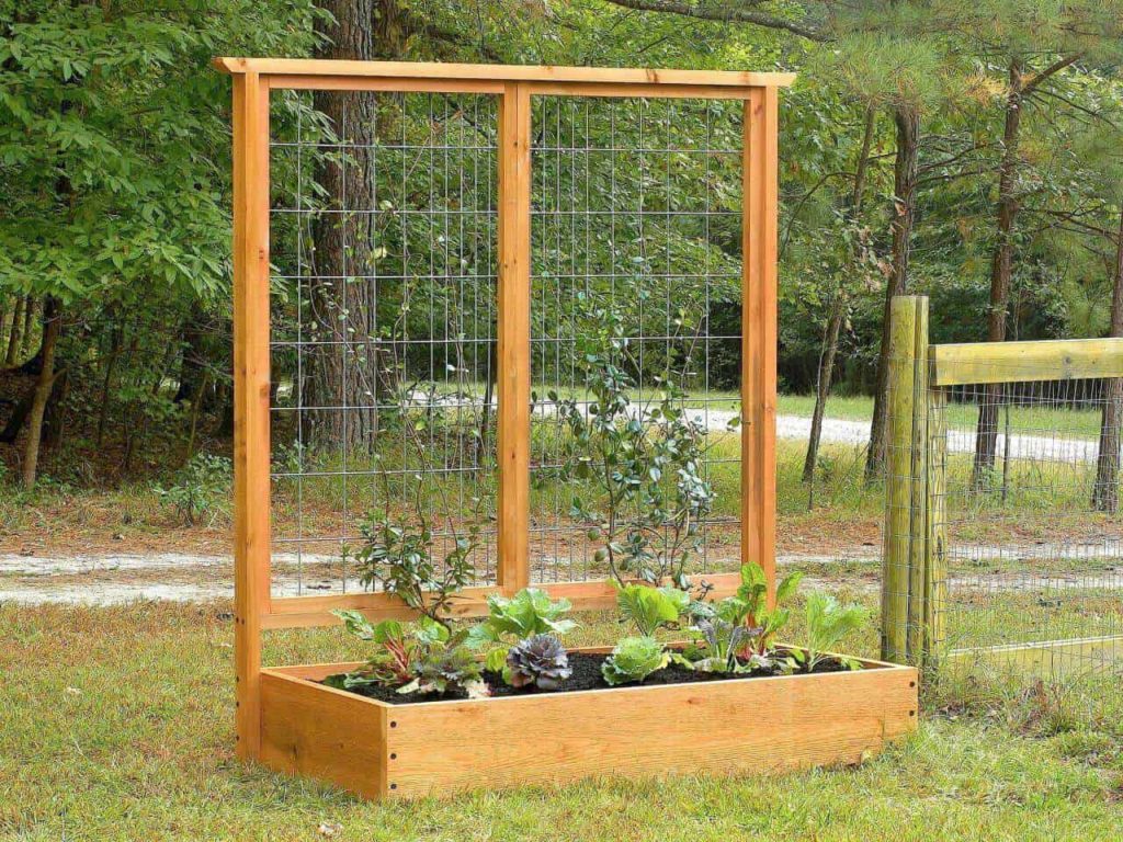 Garden Trellis Ideas to Make Your Garden More Beautiful