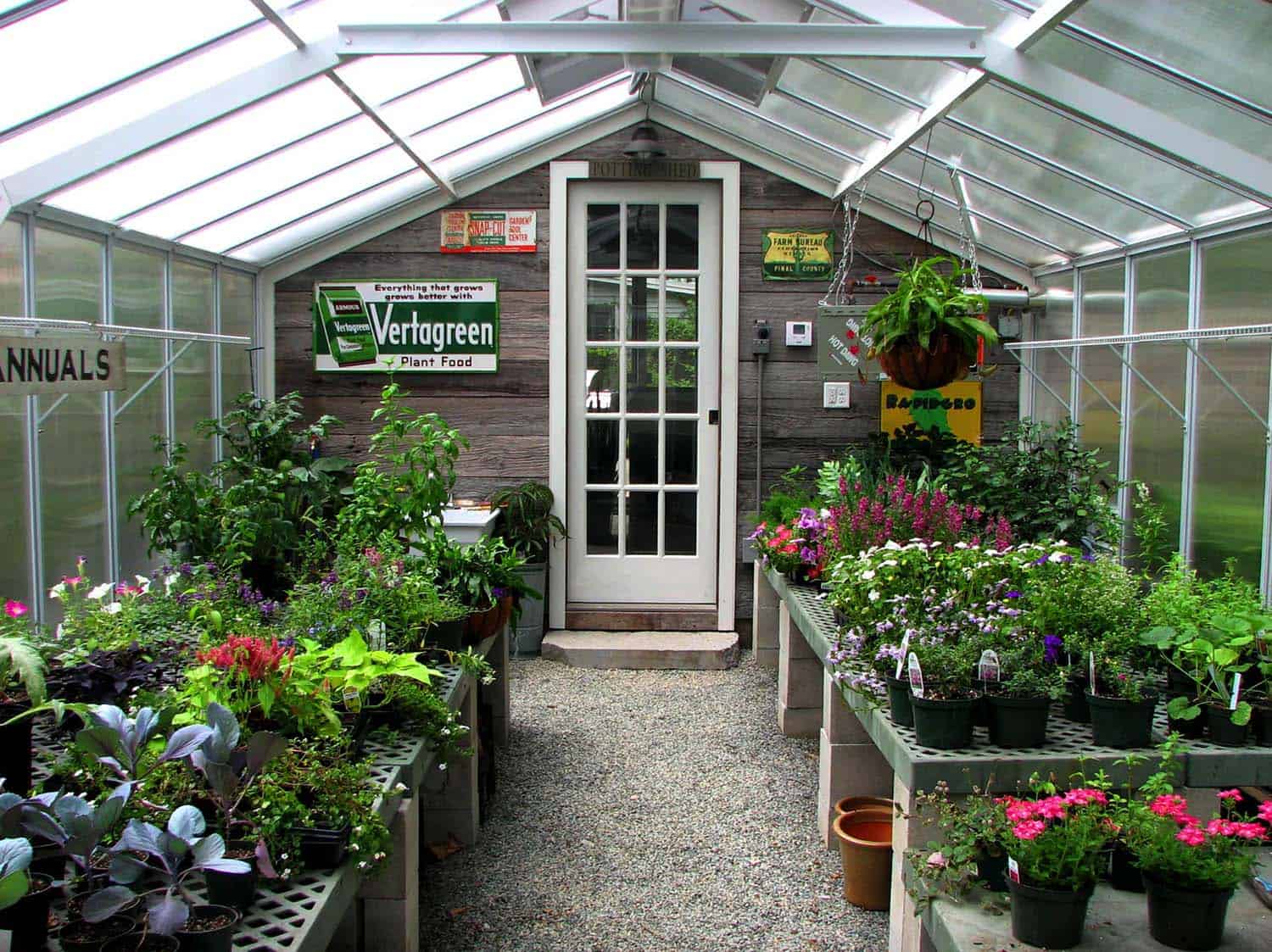 backyard greenhouse 