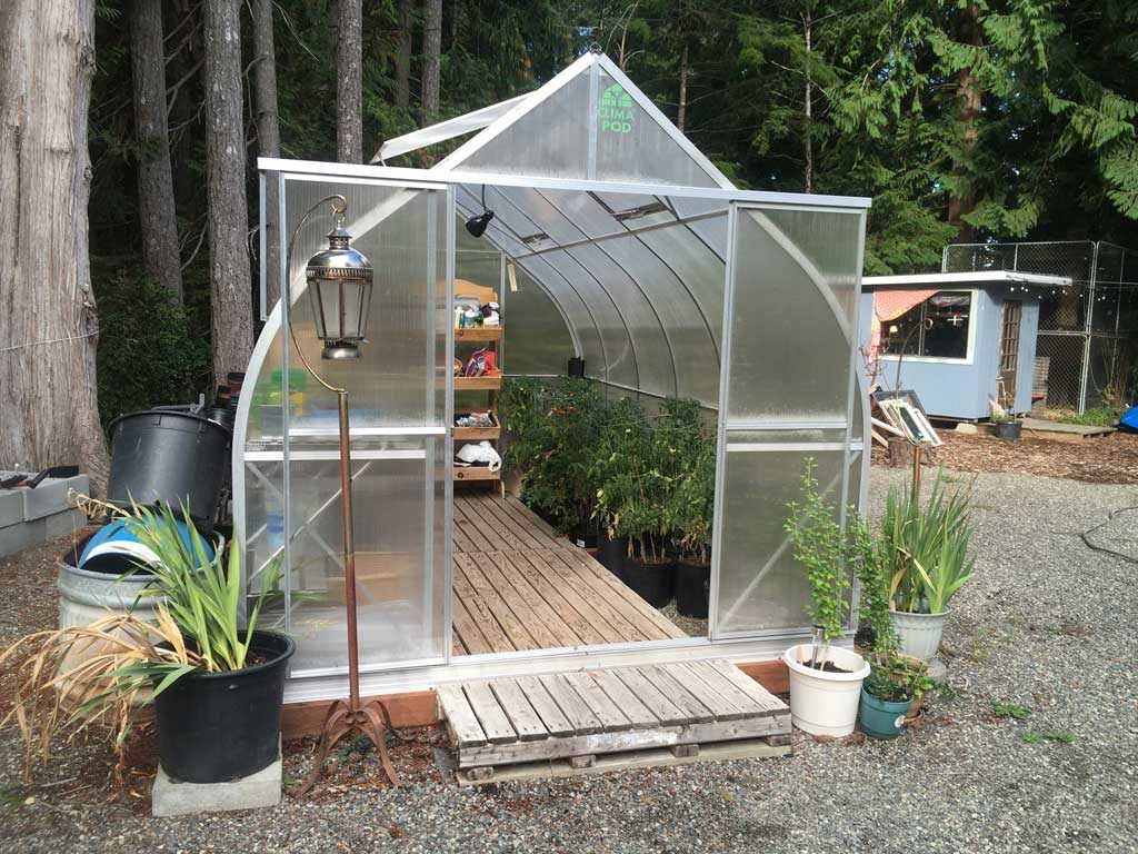 backyard greenhouse 