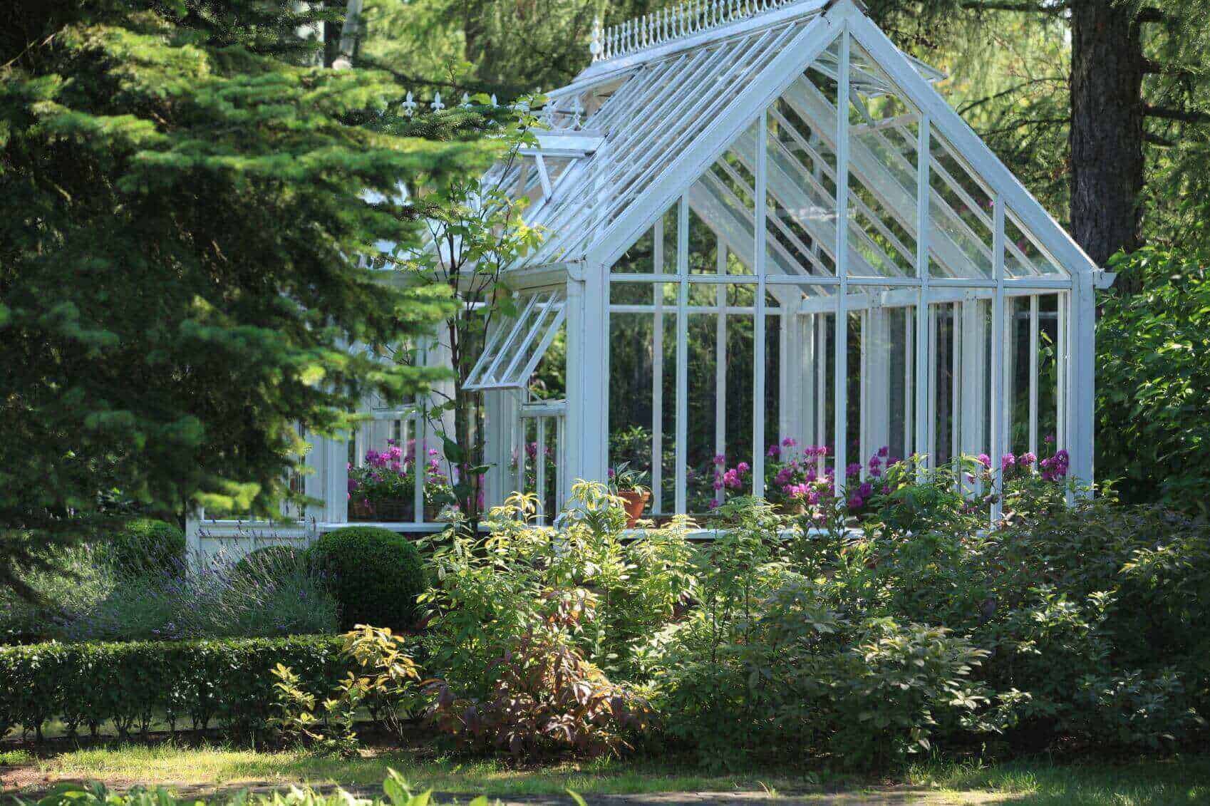 backyard greenhouse 