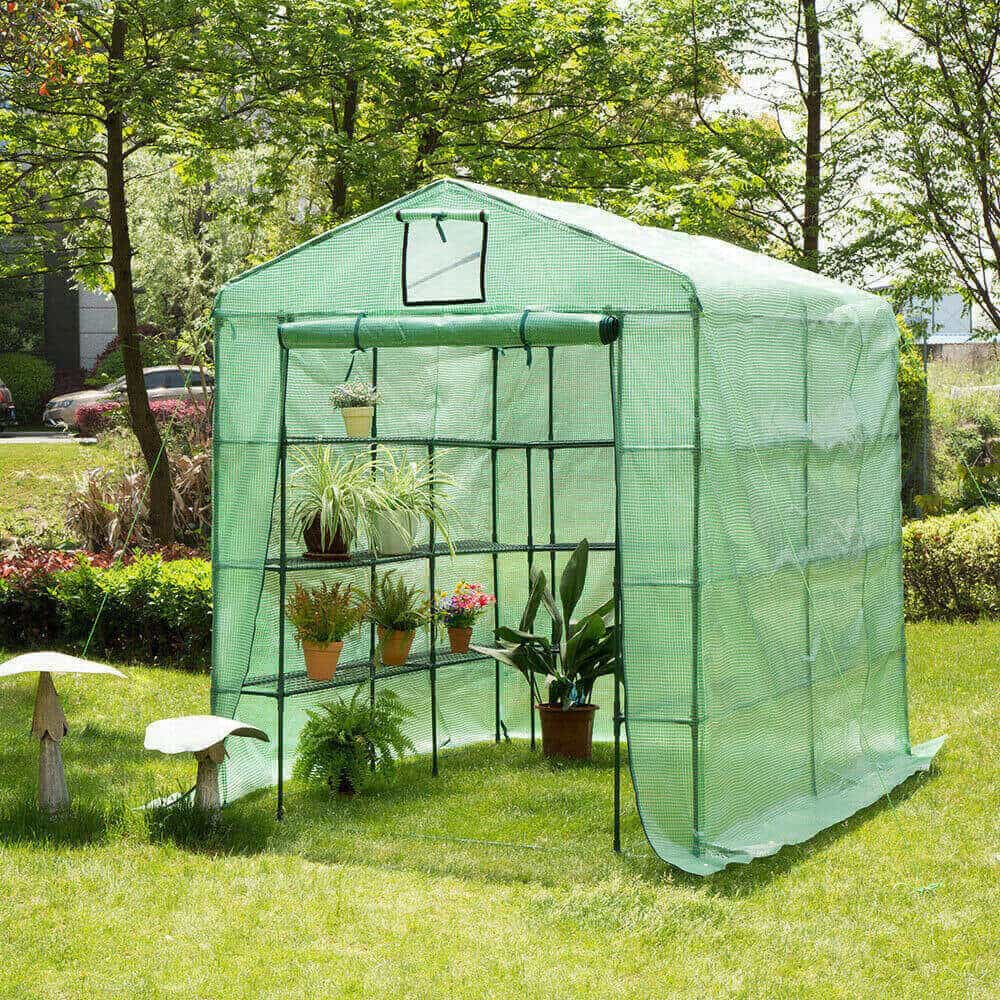 backyard greenhouse 