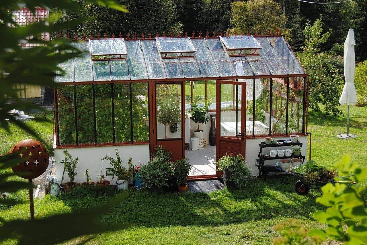 backyard greenhouse 