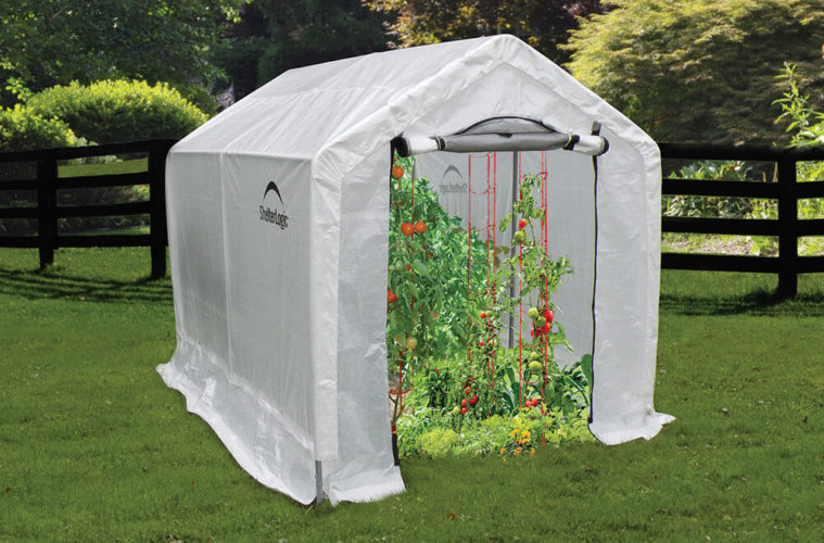 backyard greenhouse