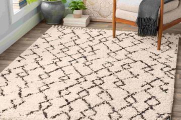 Modern Contemporary Rugs