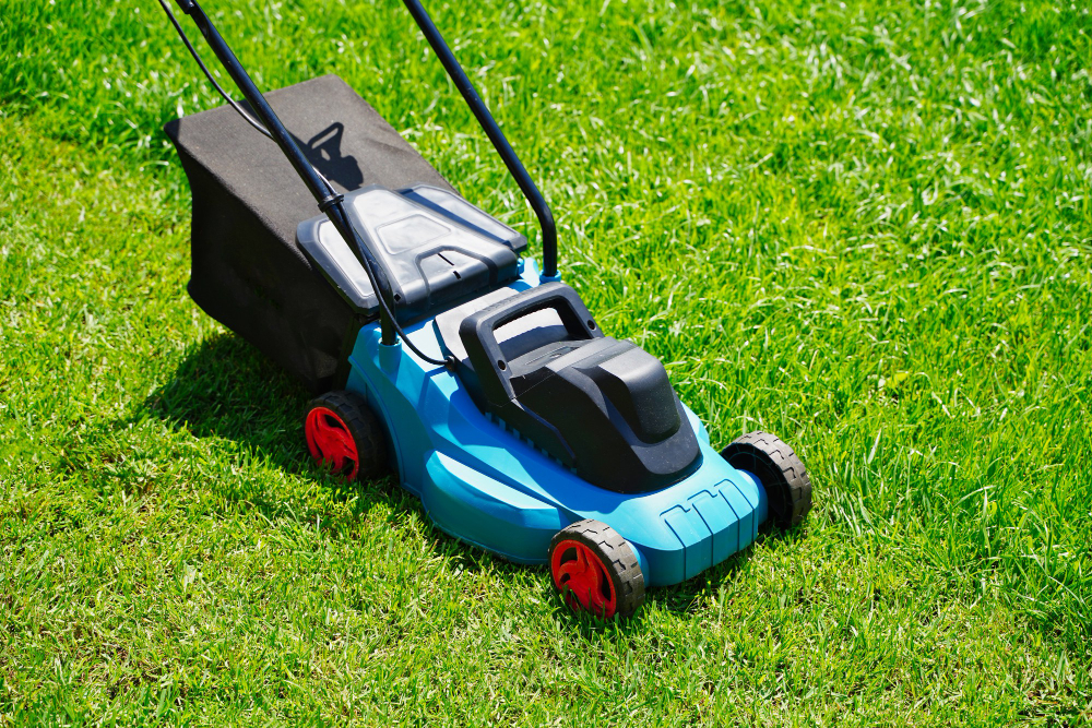 Tips To Find The Best Lawn Mower For Small Yard