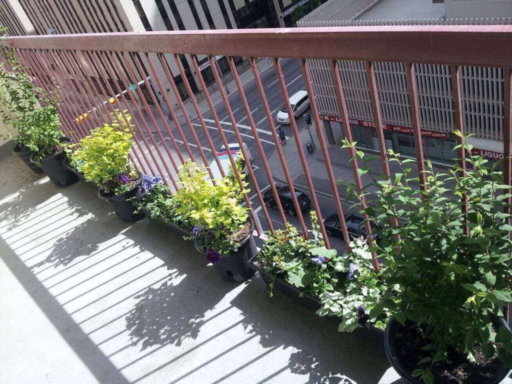 balcony garden