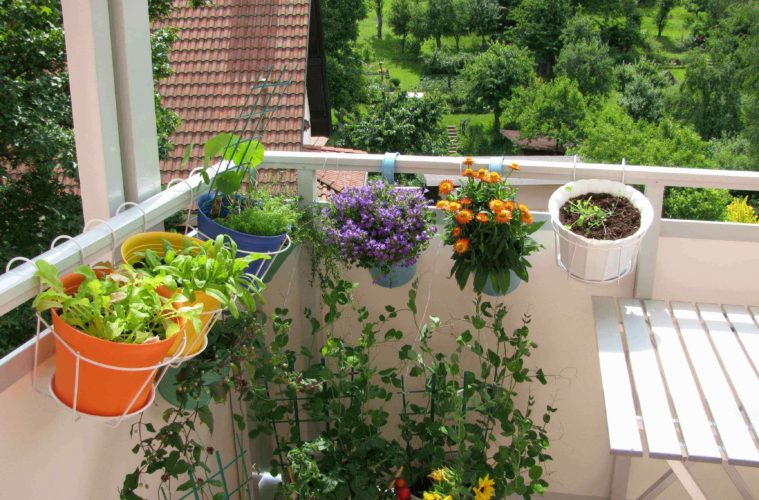 balcony garden