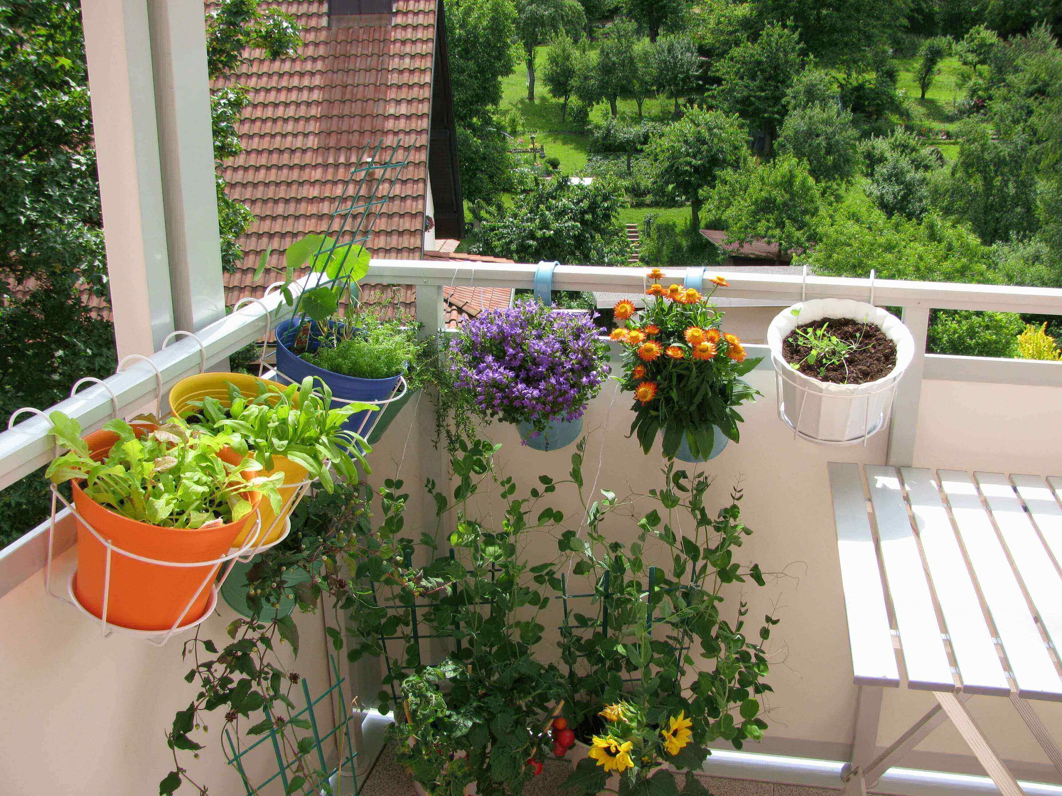 balcony garden