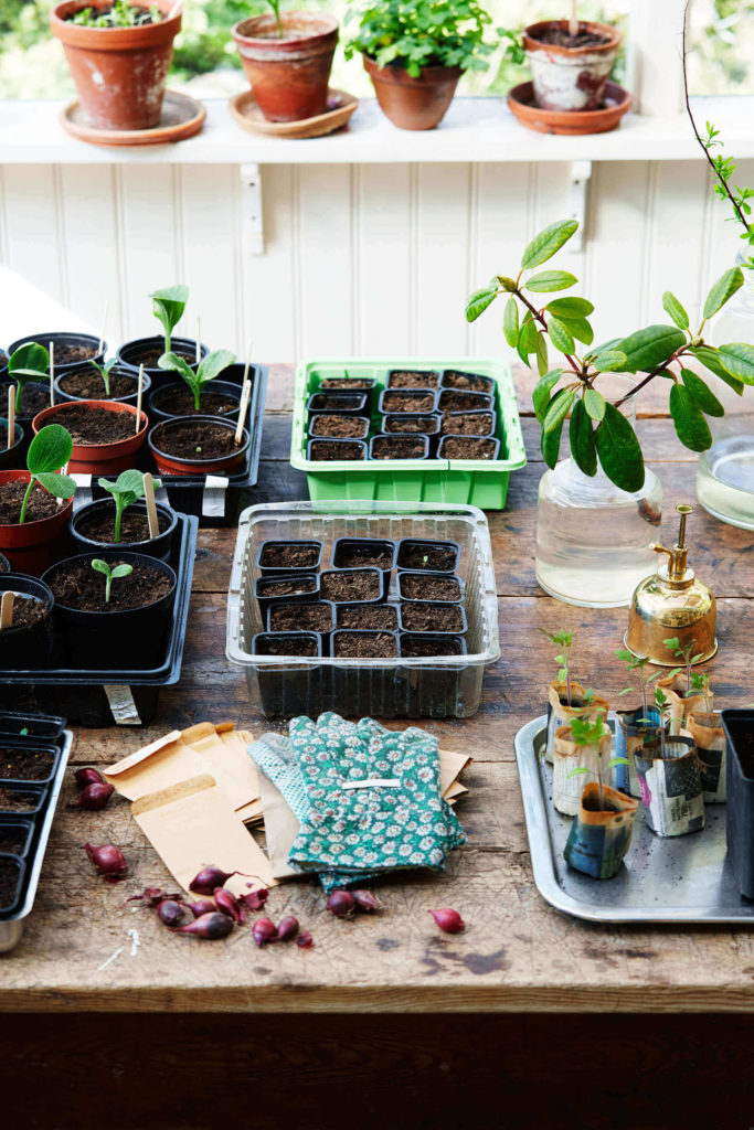 home garden in flat