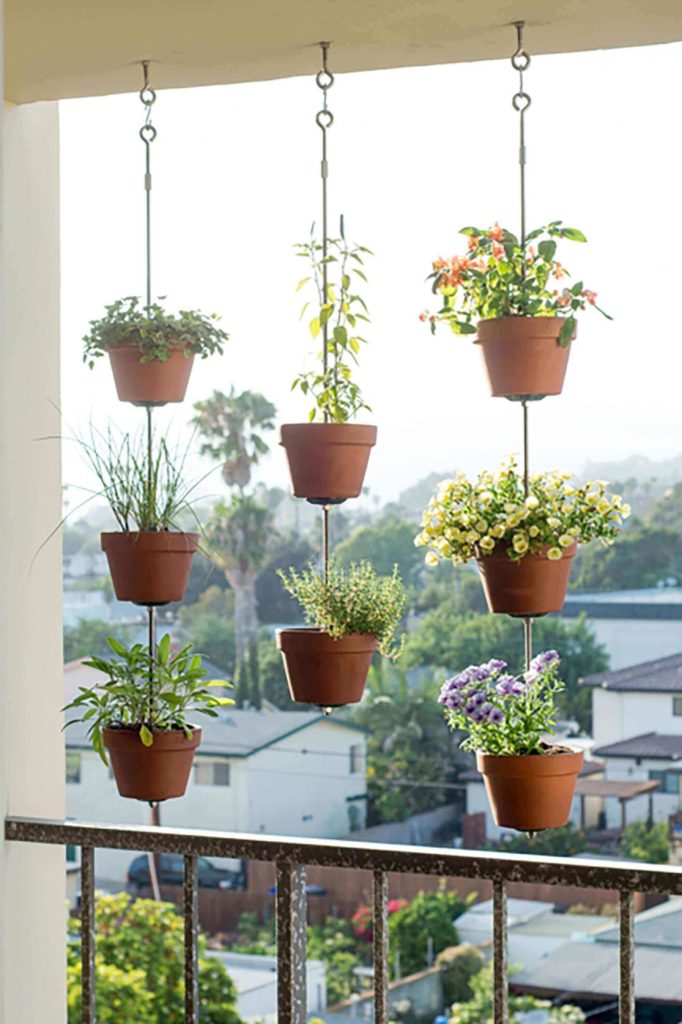 home garden in flat