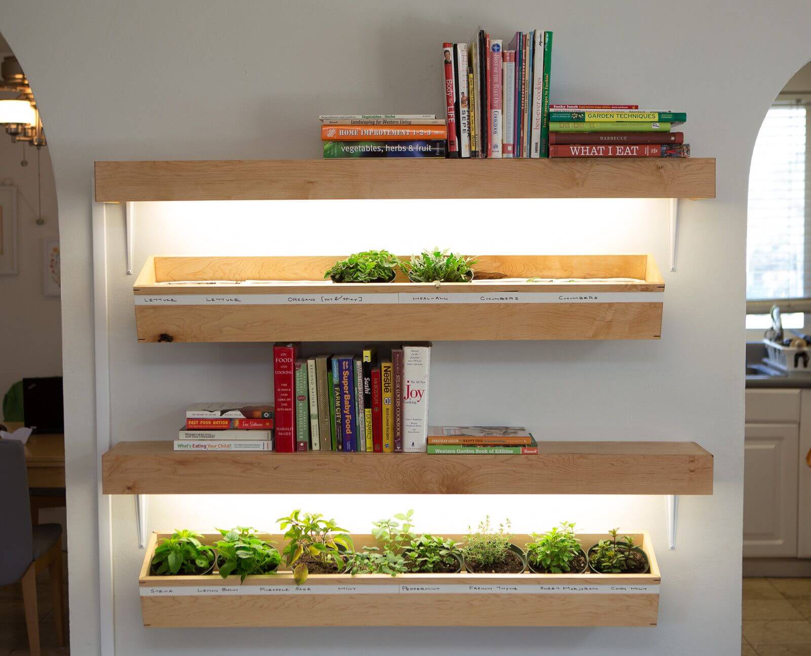 Mesmerizing Ideas for Intermediate Lighting in Shelves