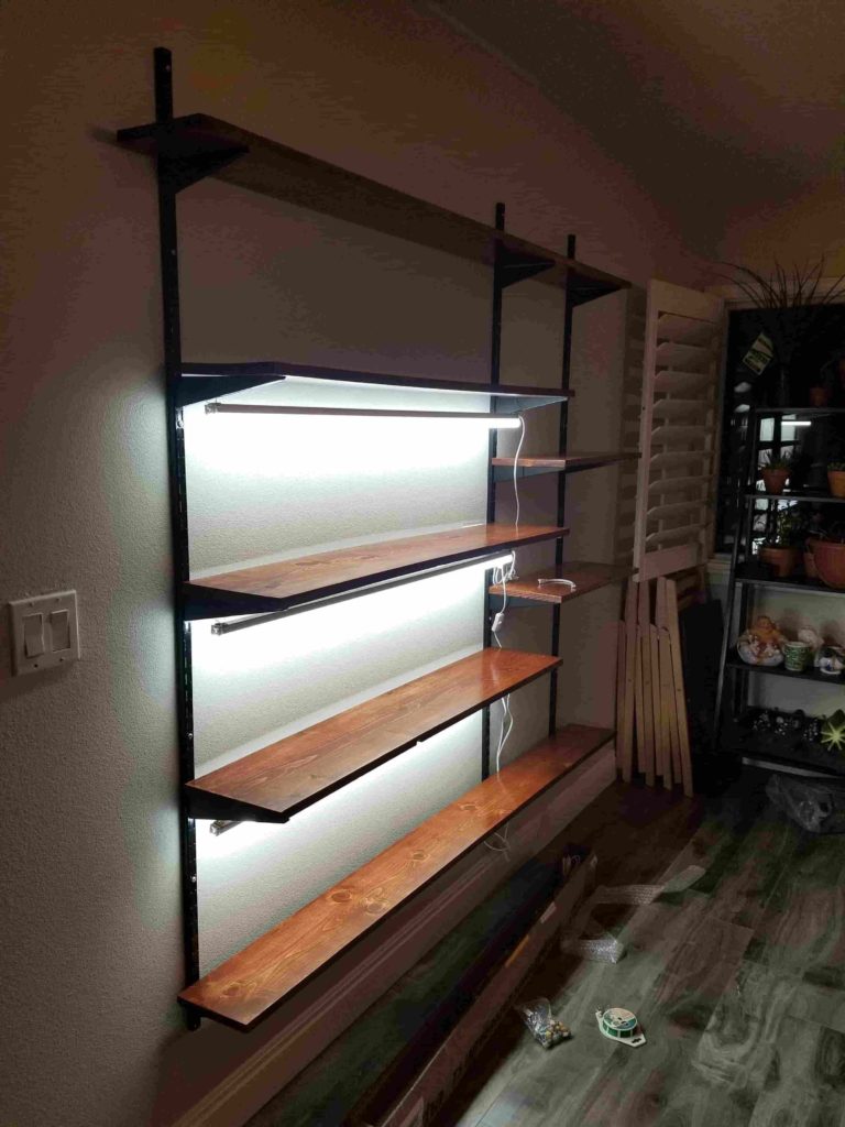 light in shelves 