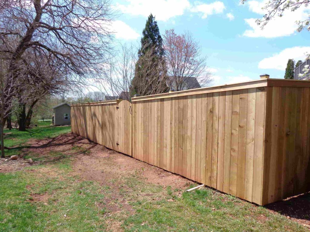 Privacy Fence