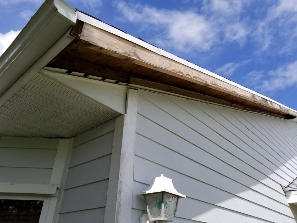 How to Repair a Roof Leak Professionally